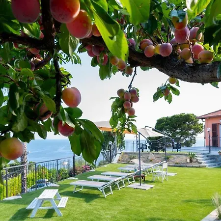 Matilde Дом отдыха